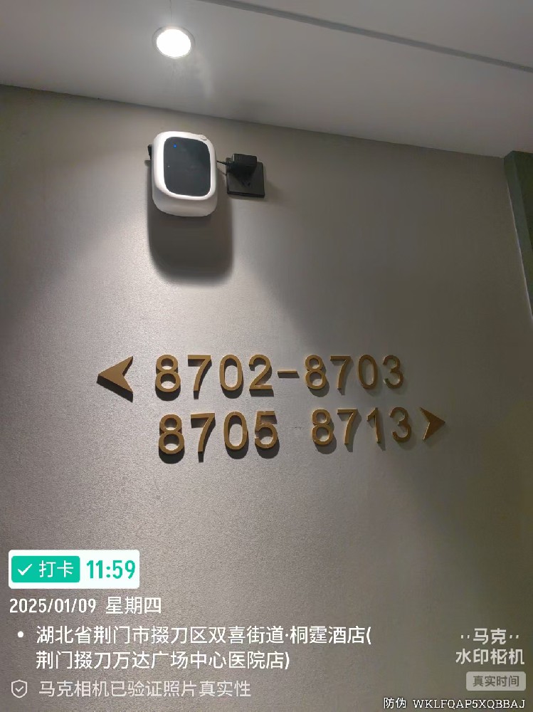 荆门市双喜街道桐霆酒店